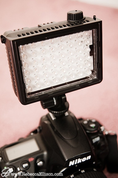 video light used by Rebecca Ellison Photography
