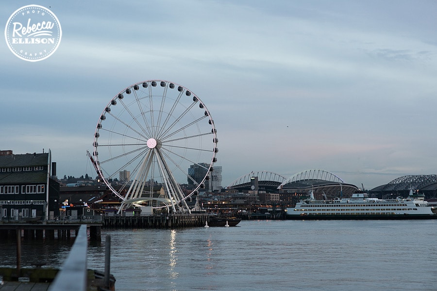 seattle-waterfront-view-003