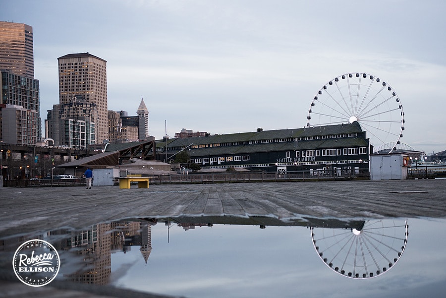 seattle-waterfront-view-006