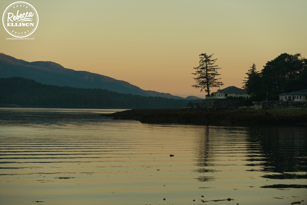 Solitary tree over the water as the sun rises in Ketchikan Alaska photographed by Rebecca Ellison Photography