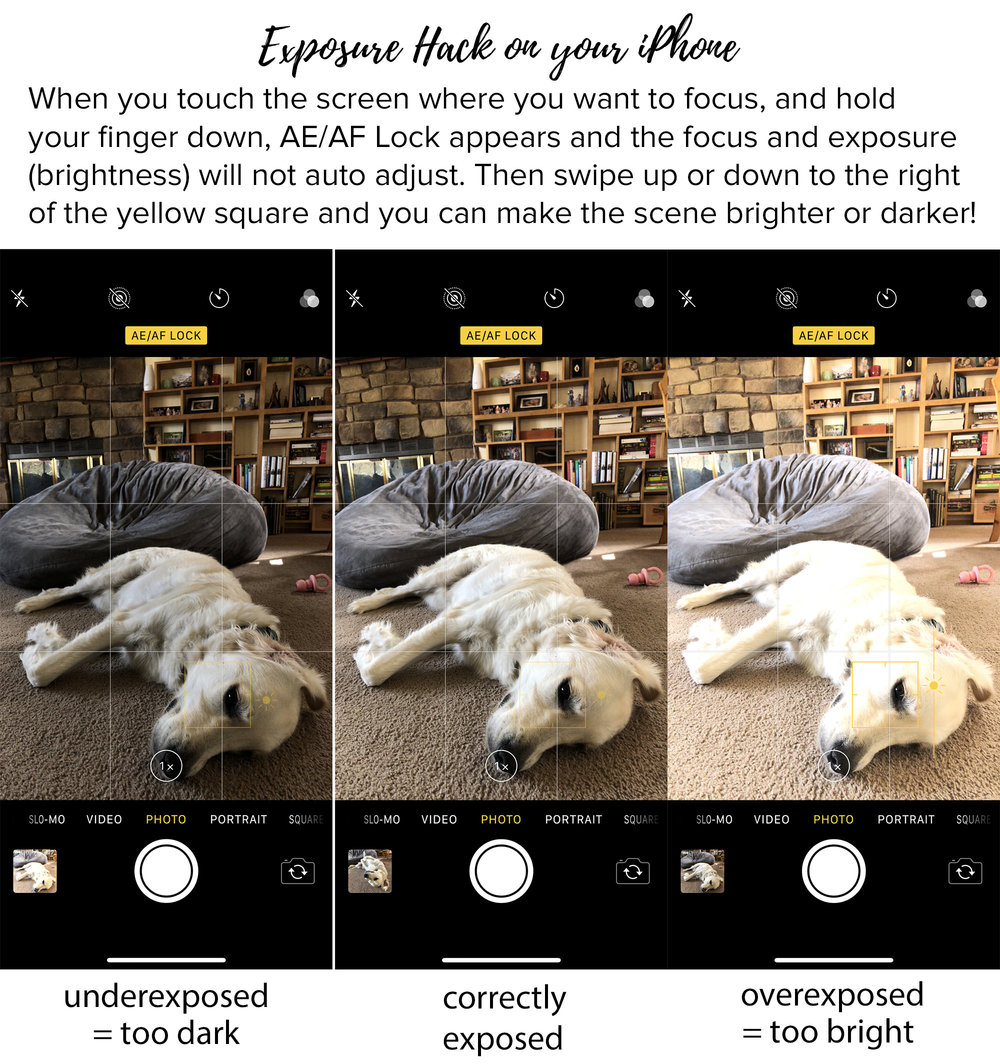  How to control the focus and exposure (brightness) on your iPhone photos. Tips for better Instagram photos 