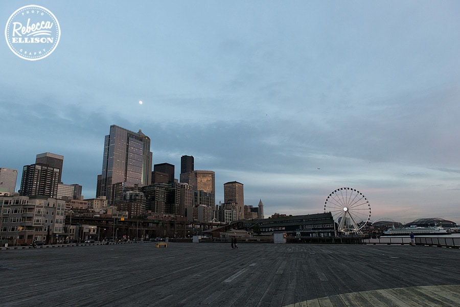 seattle-waterfront-view-002