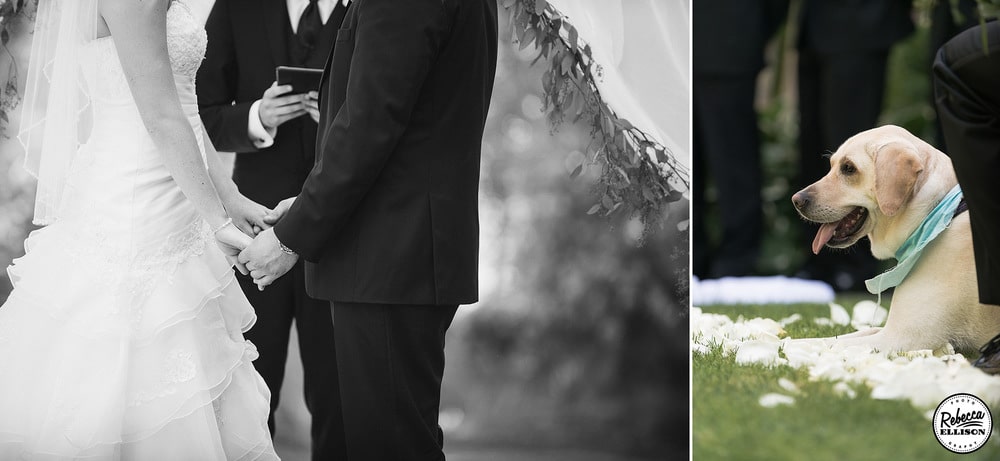 Bride and groom hold hands during their wedding ceremony while their dog looks on photographed by Seattle wedding photographer Rebecca Ellison
