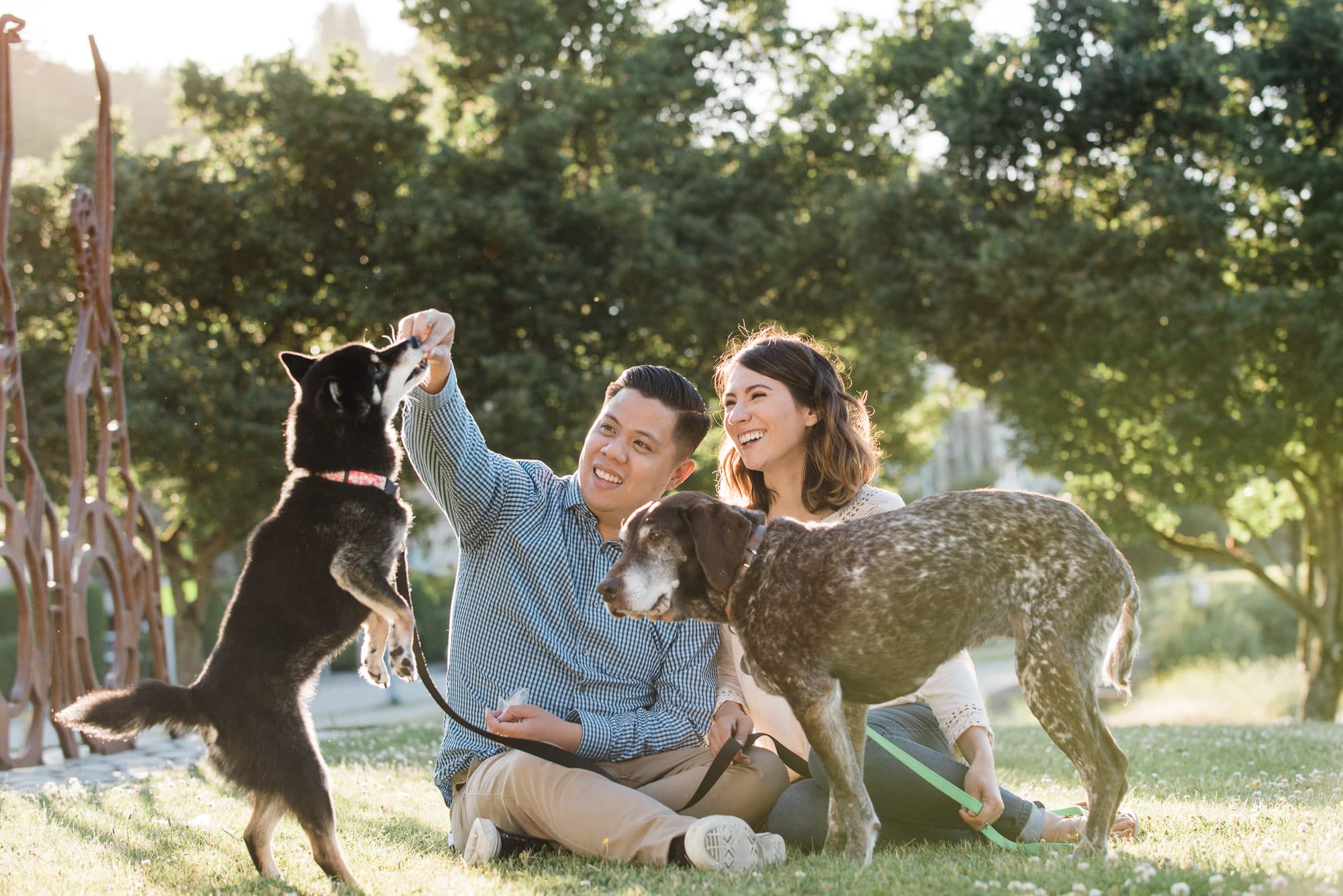 engagement photos with dogs