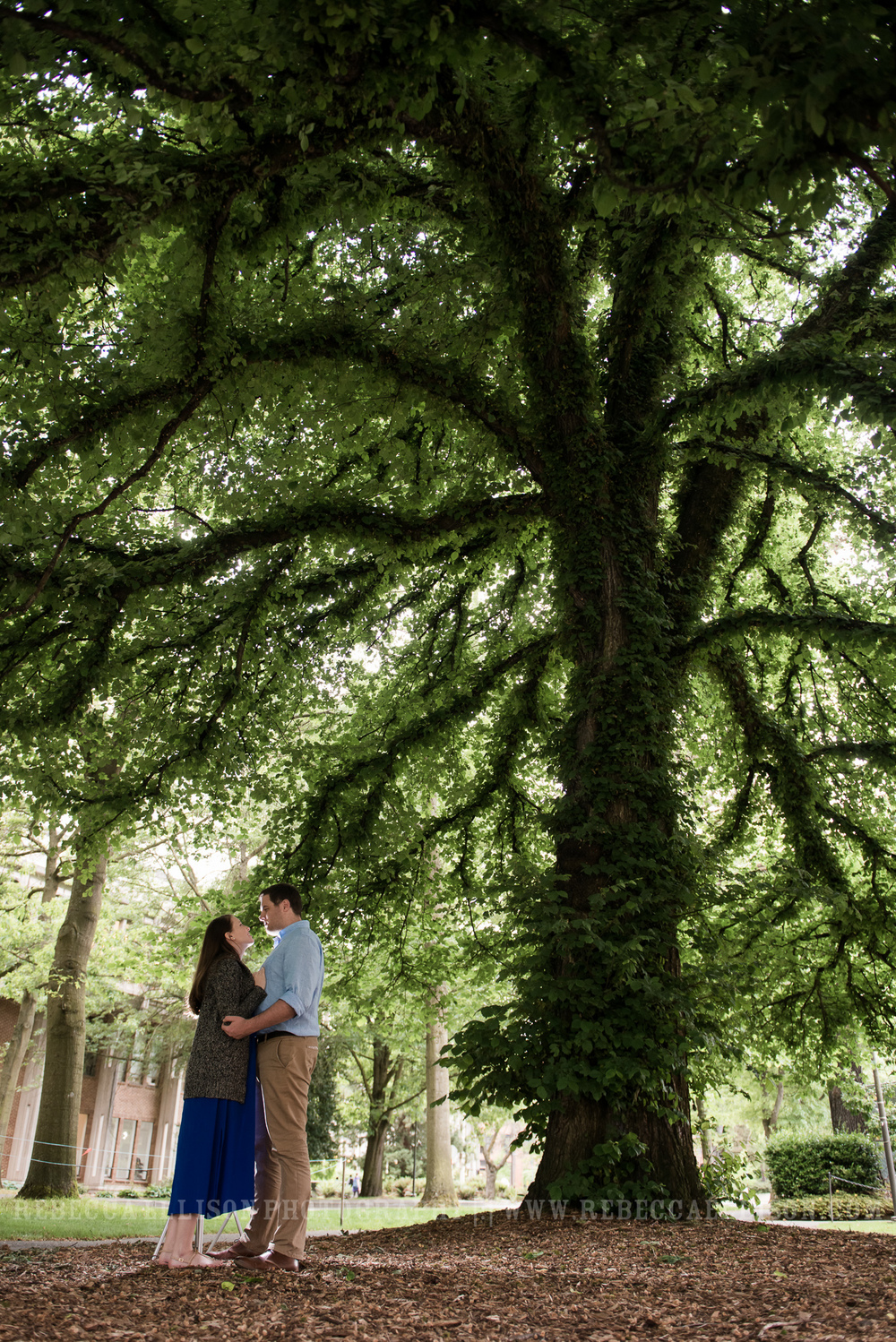 University of Washington Engagement Photos