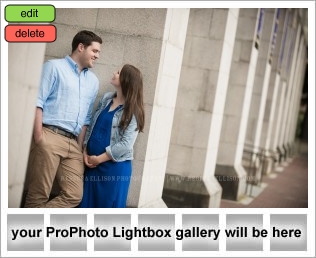 Engagement Photos at University of Washington UW campus